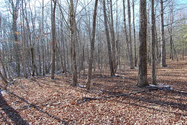 $69,900 | 340 Bluff View Drive, Dunlap, TN 37327