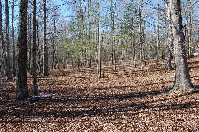 $69,900 | 340 Bluff View Drive, Dunlap, TN 37327