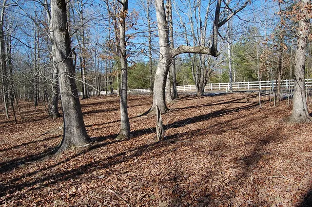 $69,900 | 340 Bluff View Drive, Dunlap, TN 37327