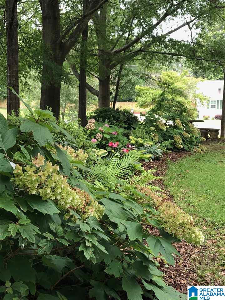 109 Ferry Road Columbiana, AL 35051 - Photo 40 of 49