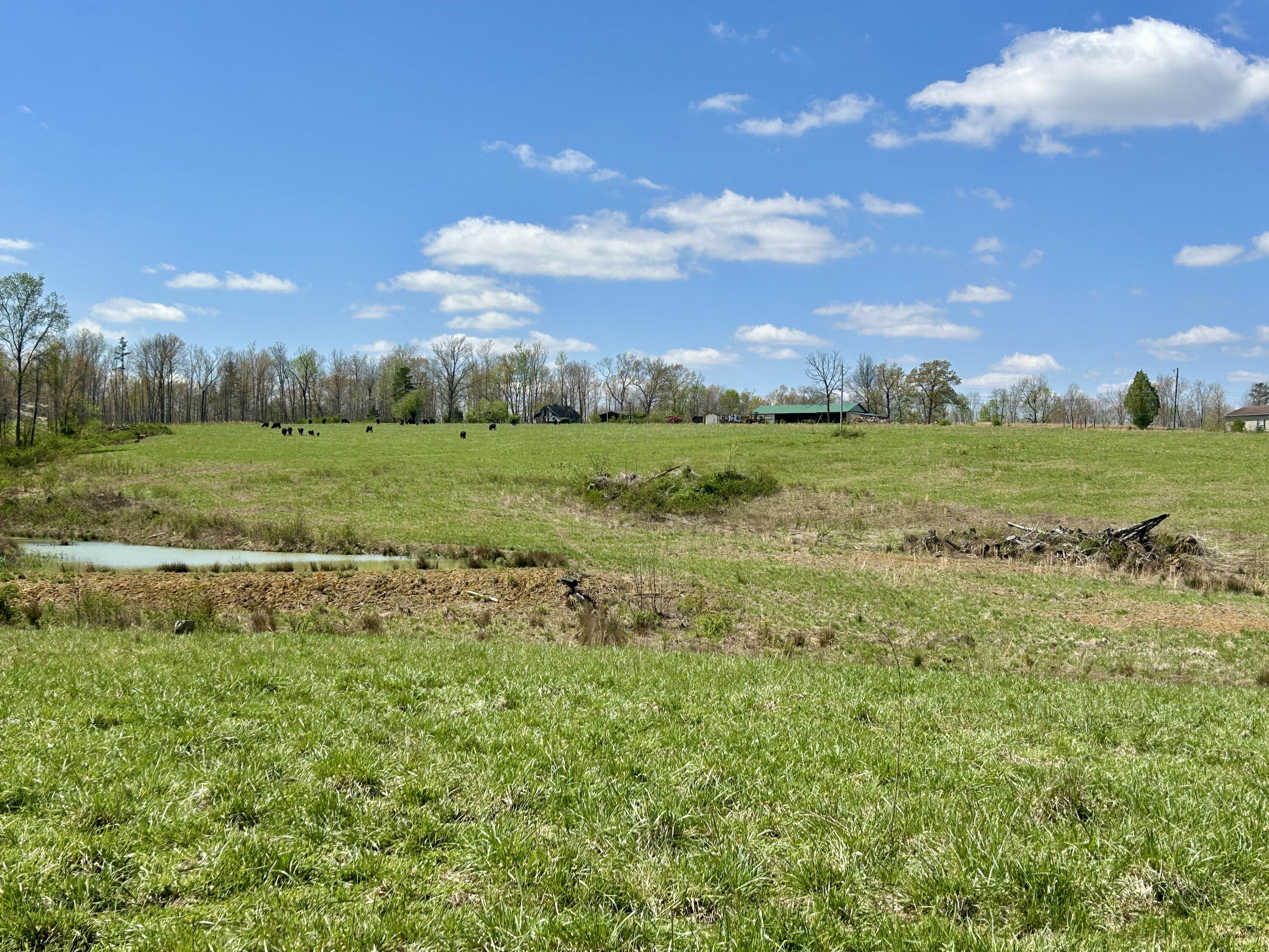 428 Dick Wilson Road Strunk, KY 42649 - Photo 20 of 20 IMG_7583