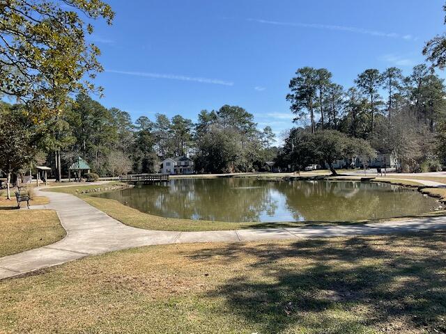 425 Ravenwood Road Walterboro, SC 29488 - Photo 46 of 49 Peaceful place to unwind