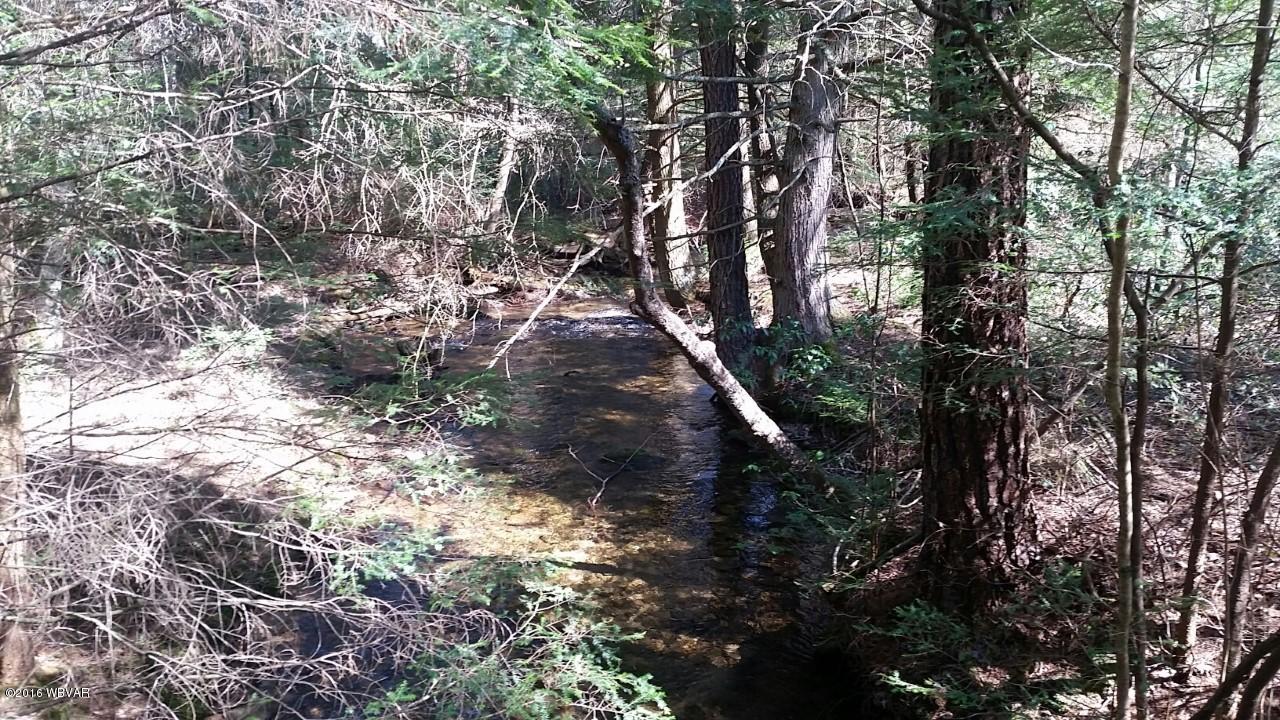 1464 Mill Branch Road Mill Hall, PA 17751 - Photo 7 of 28 creek1