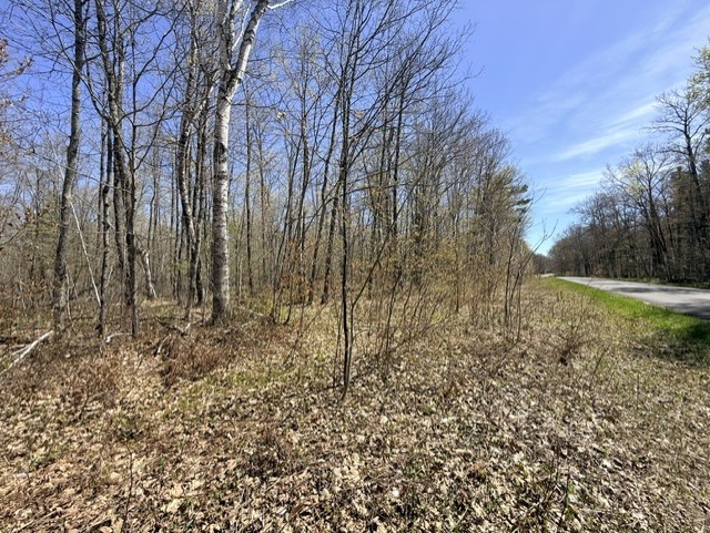 9-10 West Peninsula Road Hayward, WI 54843 - Photo 1 of 8
