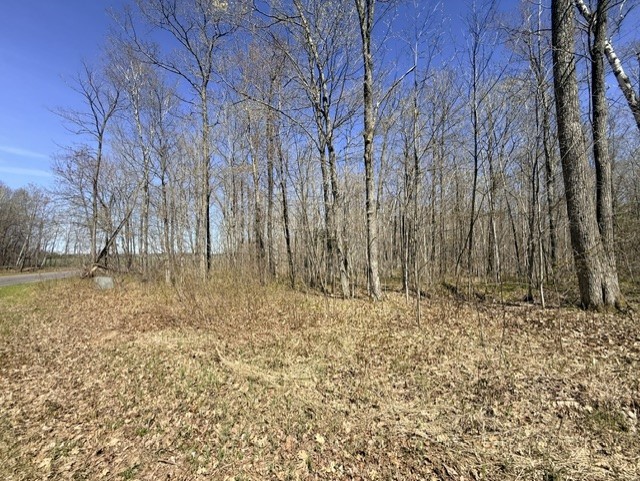 9-10 West Peninsula Road Hayward, WI 54843 - Photo 2 of 8