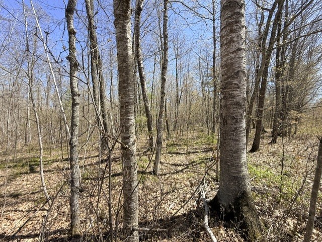 9-10 West Peninsula Road Hayward, WI 54843 - Photo 3 of 8