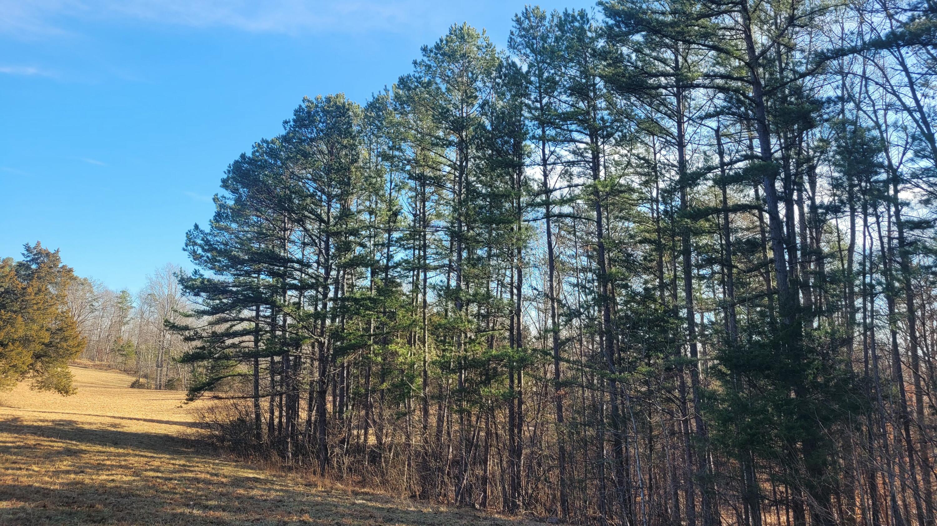 1330 Pea Ridge Road Somerset, KY 42501 - Photo 10 of 14 20250203_095718