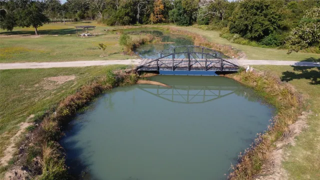 a view of a swimming pool with a yard and large trees