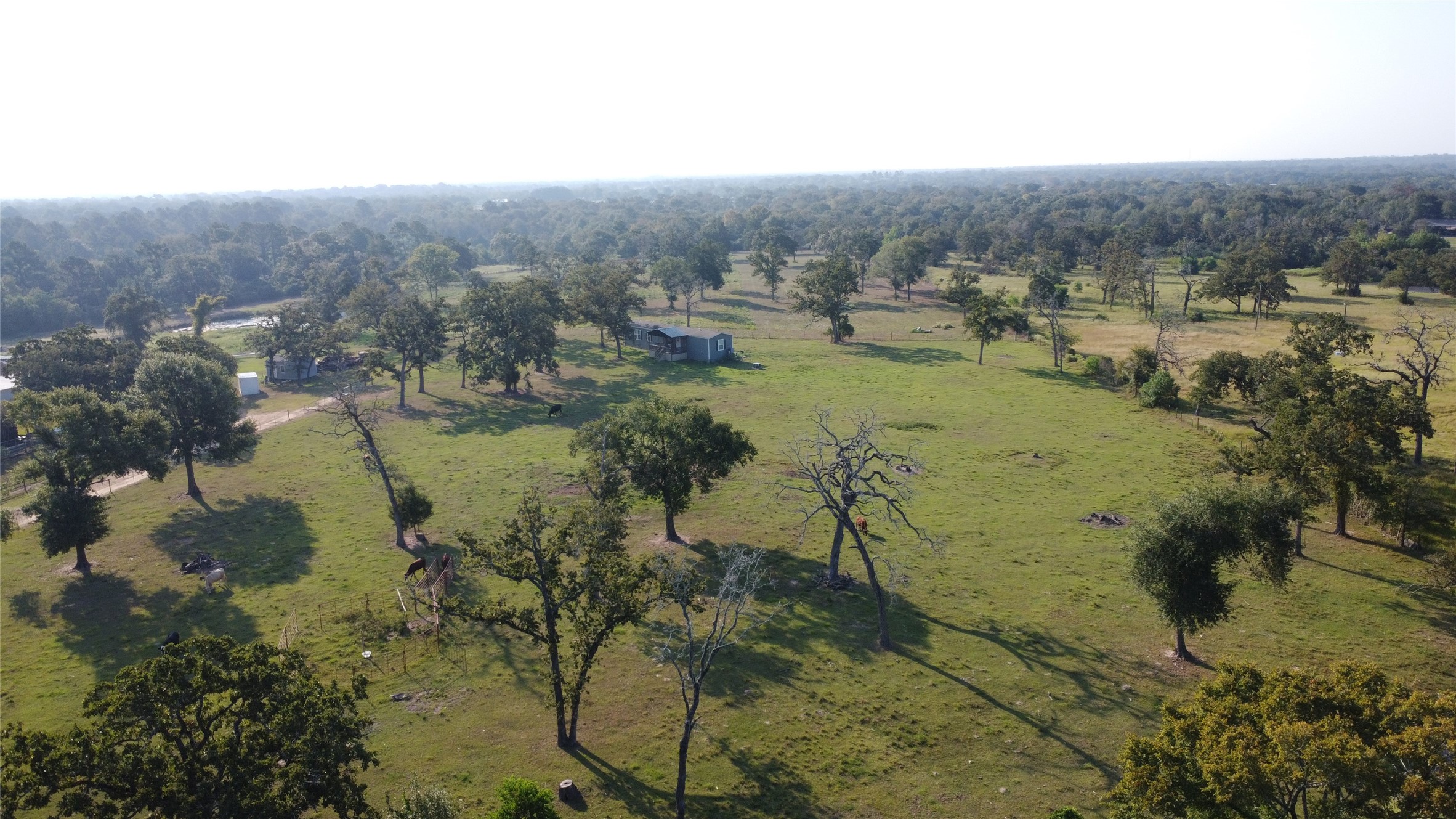 23888 Laneview Road Hempstead, TX 77445 - Photo 26 of 39