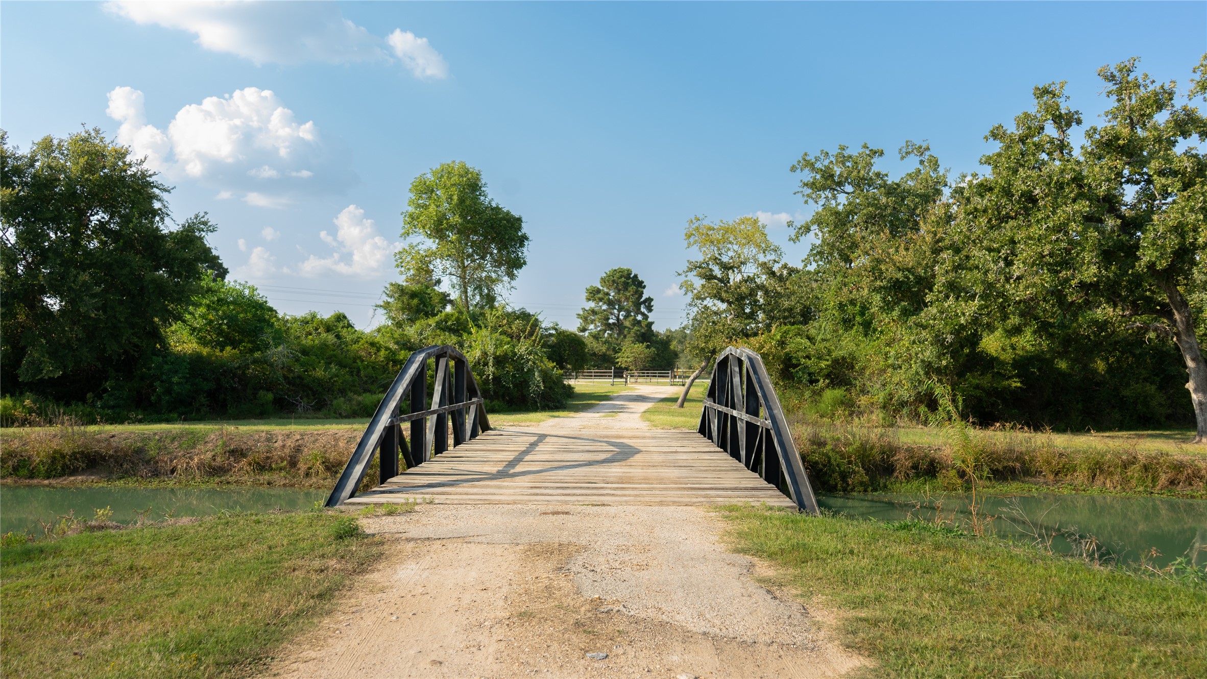 23888 Laneview Road Hempstead, TX 77445 - Photo 37 of 39 a view of a swimming pool with a yard and large trees