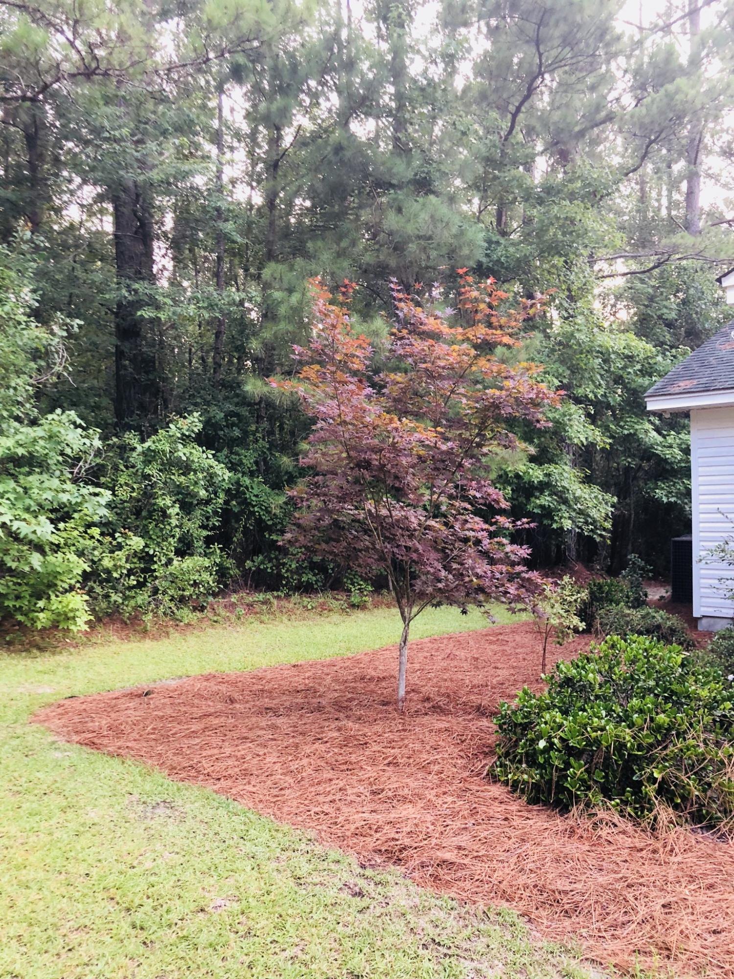 3074 State Rd S-15-233 Walterboro, SC 29488 - Photo 26 of 26 749238D6-7F0E-48A2-A49B-B65207B6EEB0
