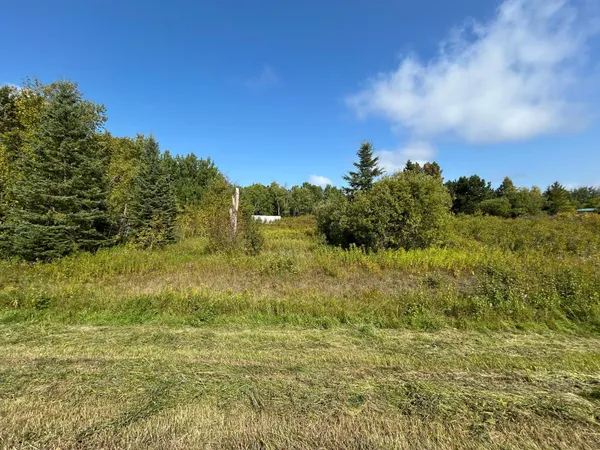 $49,900 | 10629 Town Road 34, Mizpah, MN 56660