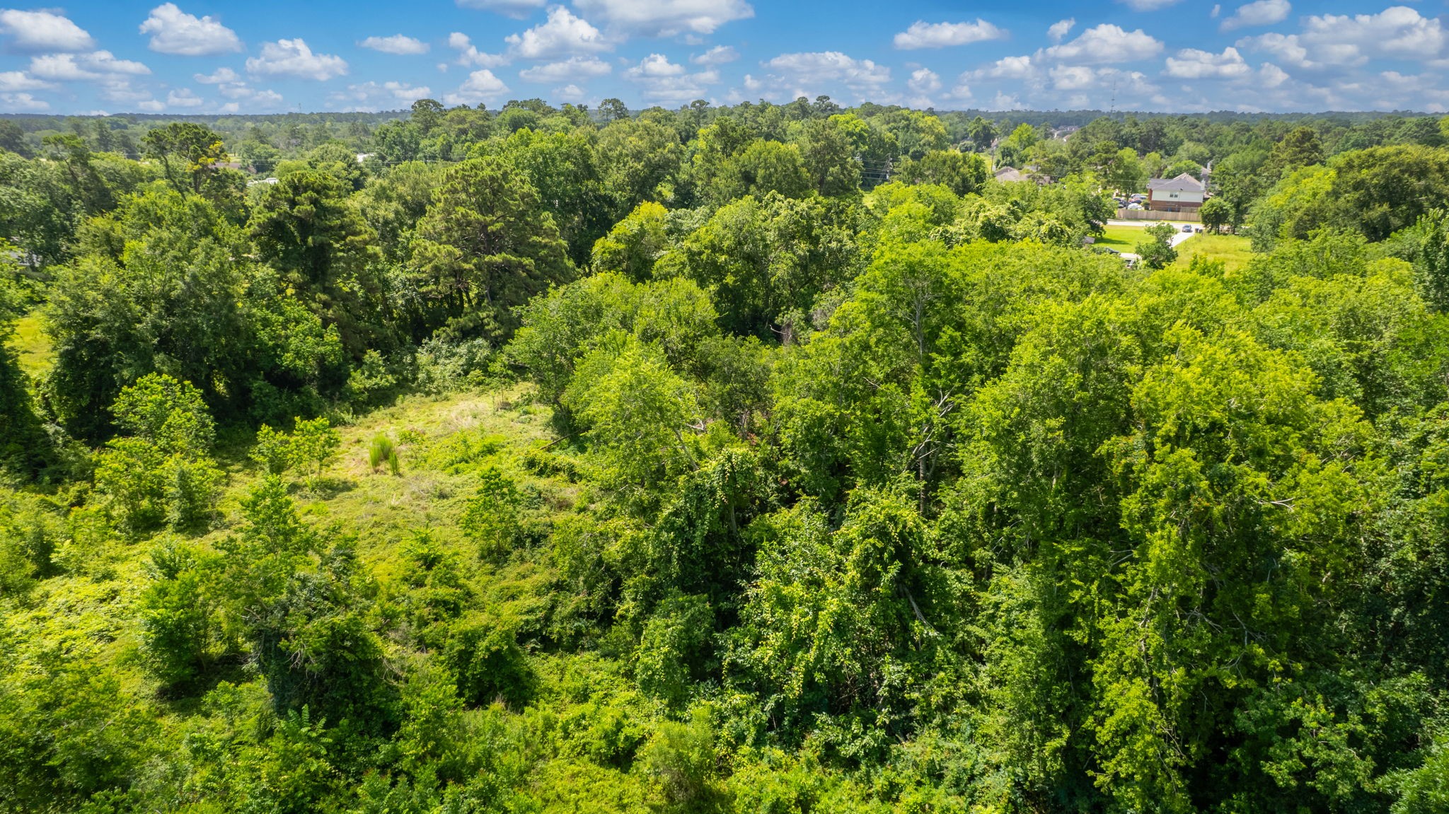 7705 Rankin Road Humble, TX 77396 - Photo 12 of 15