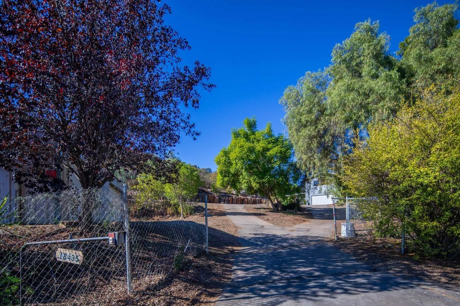 18435 Chablis Road Ramona, CA 92065 - Photo 5 of 49 a view of yard with tree in the background