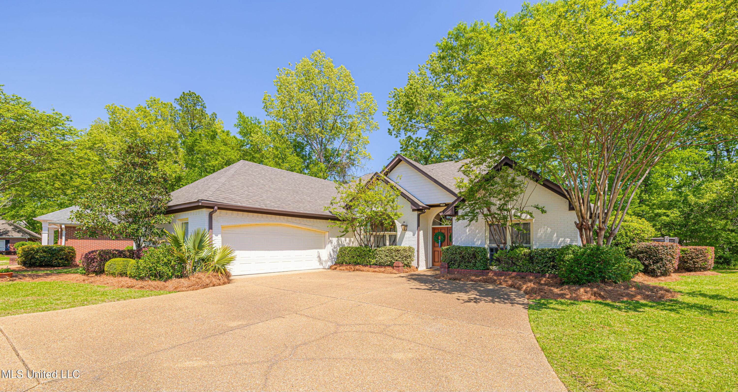 316 Steeple Ridge Ridgeland, MS 39157 - Photo 3 of 47 tempImages4q3XK