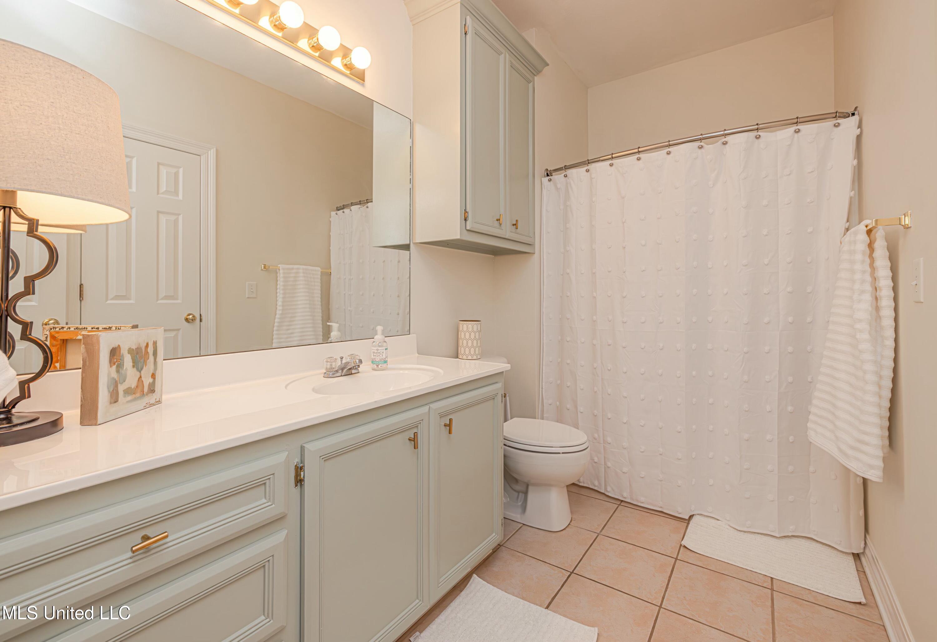 316 Steeple Ridge Ridgeland, MS 39157 - Photo 36 of 47 tempImageFYVBB3