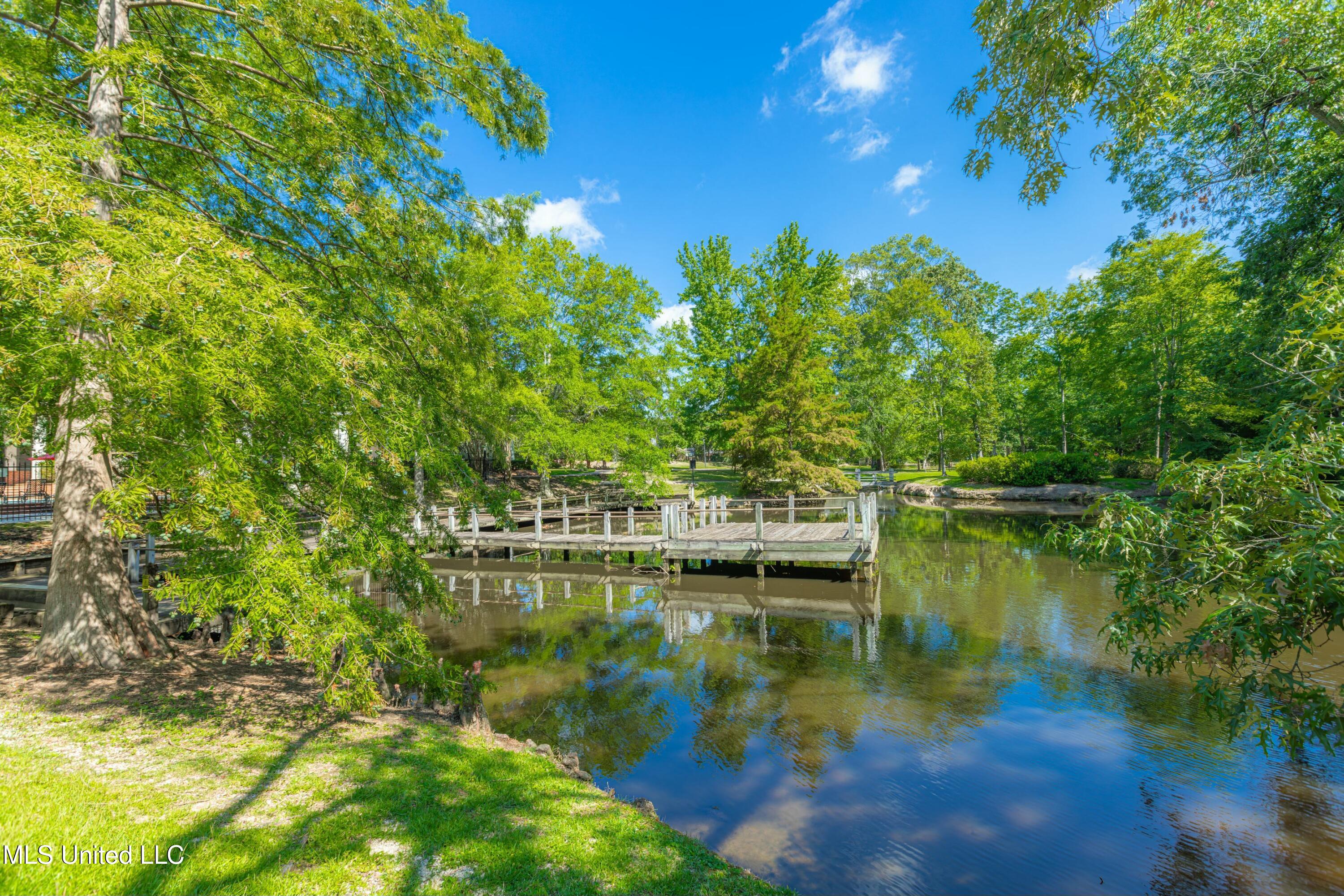 316 Steeple Ridge Ridgeland, MS 39157 - Photo 42 of 47 tempImageAq2tQi