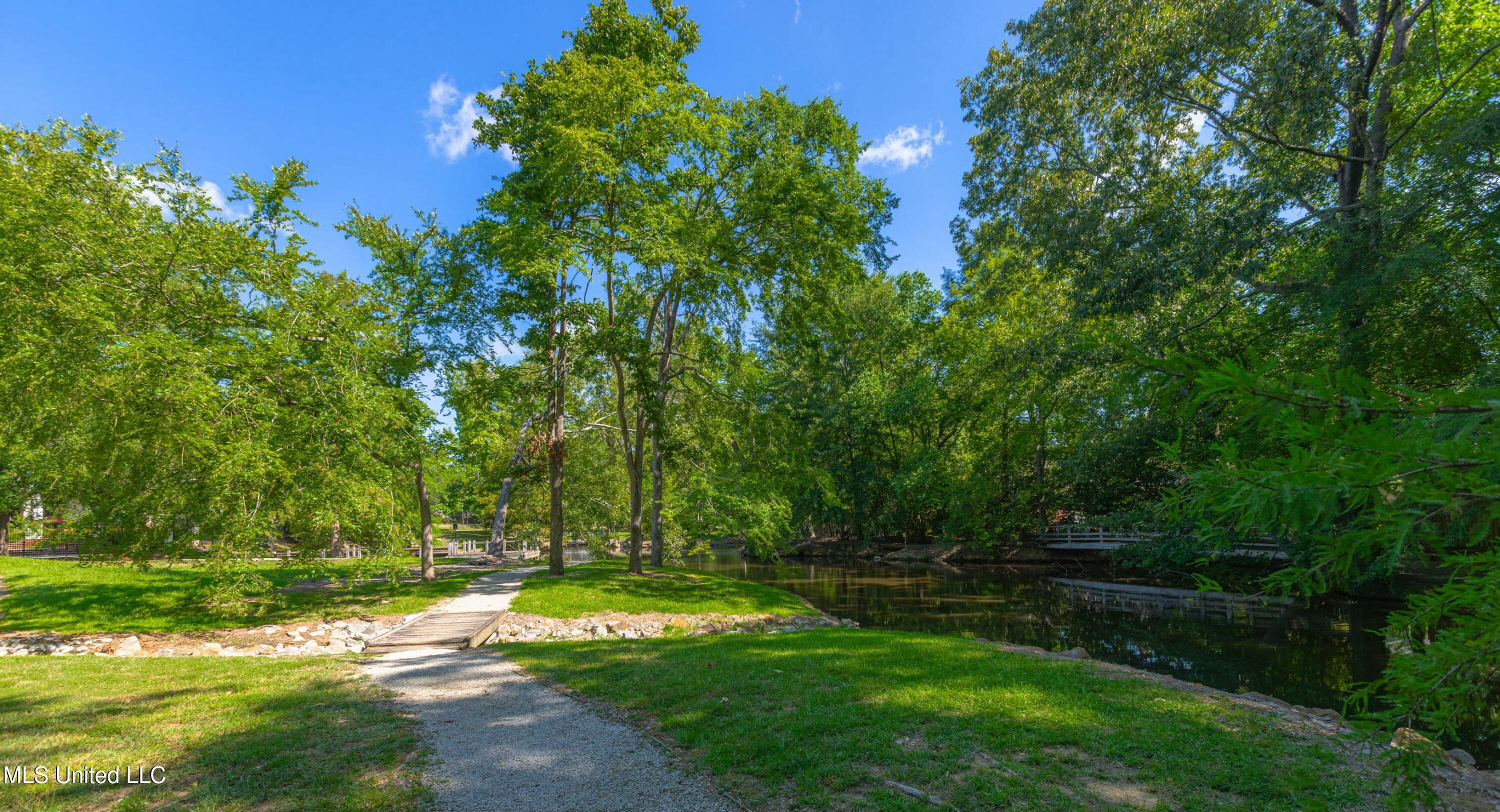316 Steeple Ridge Ridgeland, MS 39157 - Photo 44 of 47 tempImage7427BO