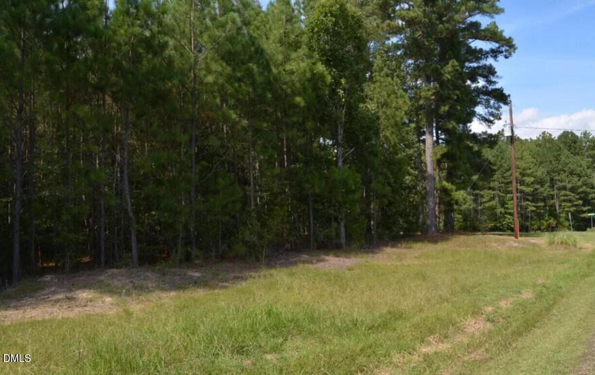 42 Asbury Church Road Sanford, NC 27330 - Photo 4 of 12 street