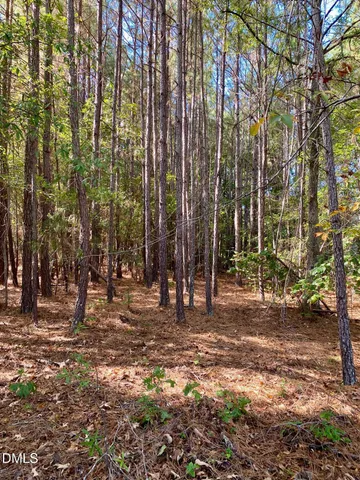 $75,000 | 42 Asbury Church Road, Sanford, NC 27330