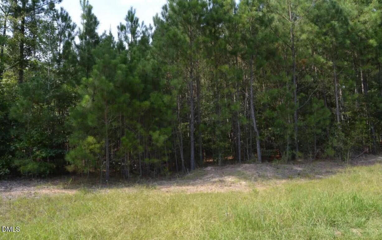 42 Asbury Church Road Sanford, NC 27330 - Photo 7 of 12 street1