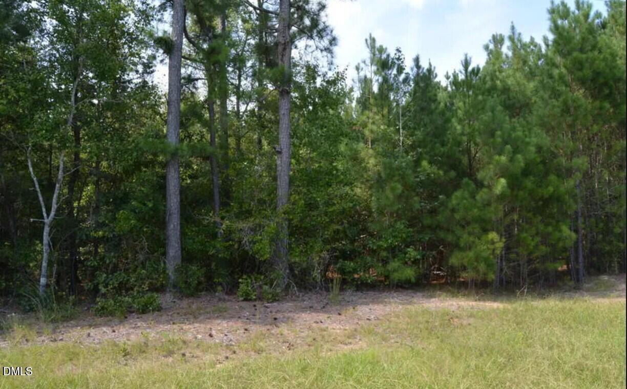 42 Asbury Church Road Sanford, NC 27330 - Photo 8 of 12 street2