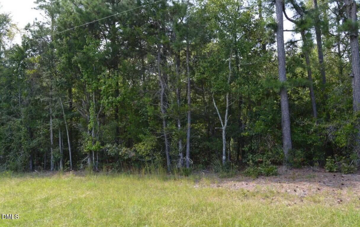 42 Asbury Church Road Sanford, NC 27330 - Photo 9 of 12 street3