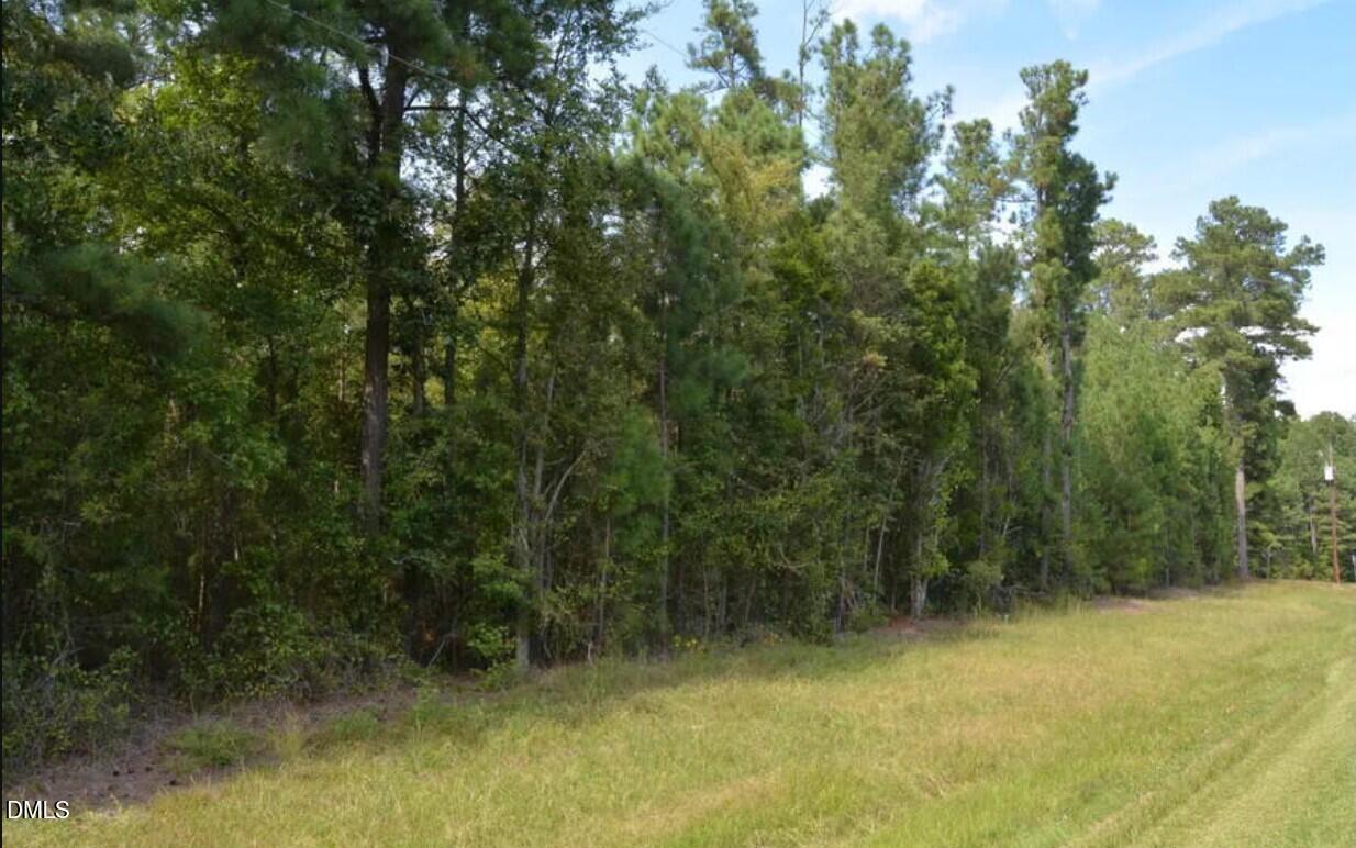 42 Asbury Church Road Sanford, NC 27330 - Photo 10 of 12 street4