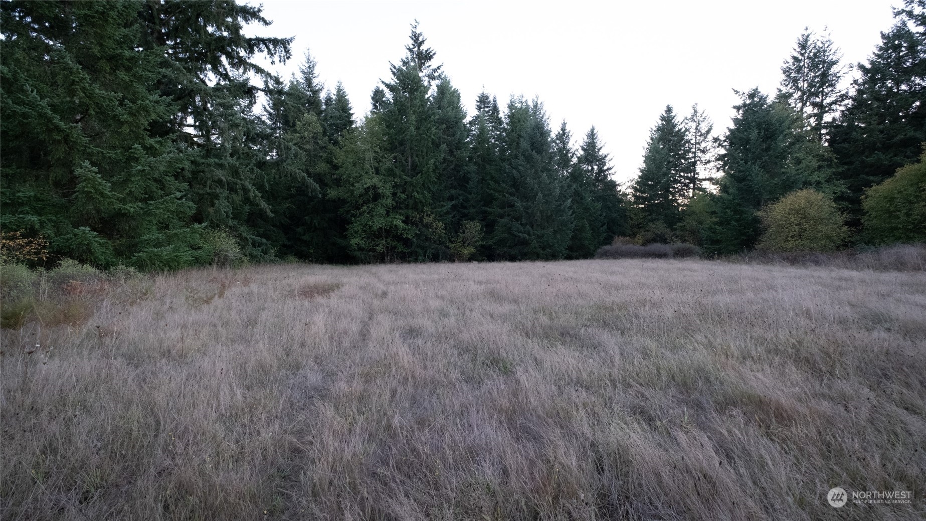 1146 Koontz Road Chehalis, WA 98532 - Photo 5 of 39 a view of a dry yard