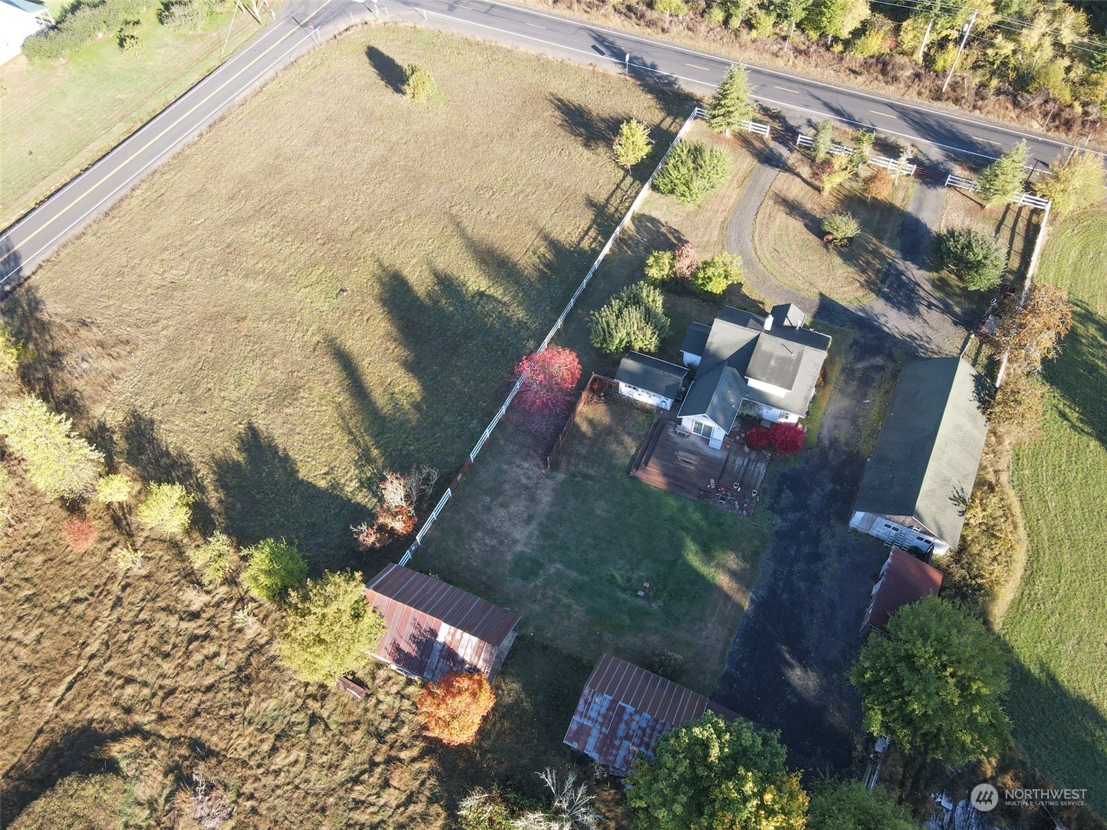 1146 Koontz Road Chehalis, WA 98532 - Photo 8 of 39 a view of a yard with plants and large trees