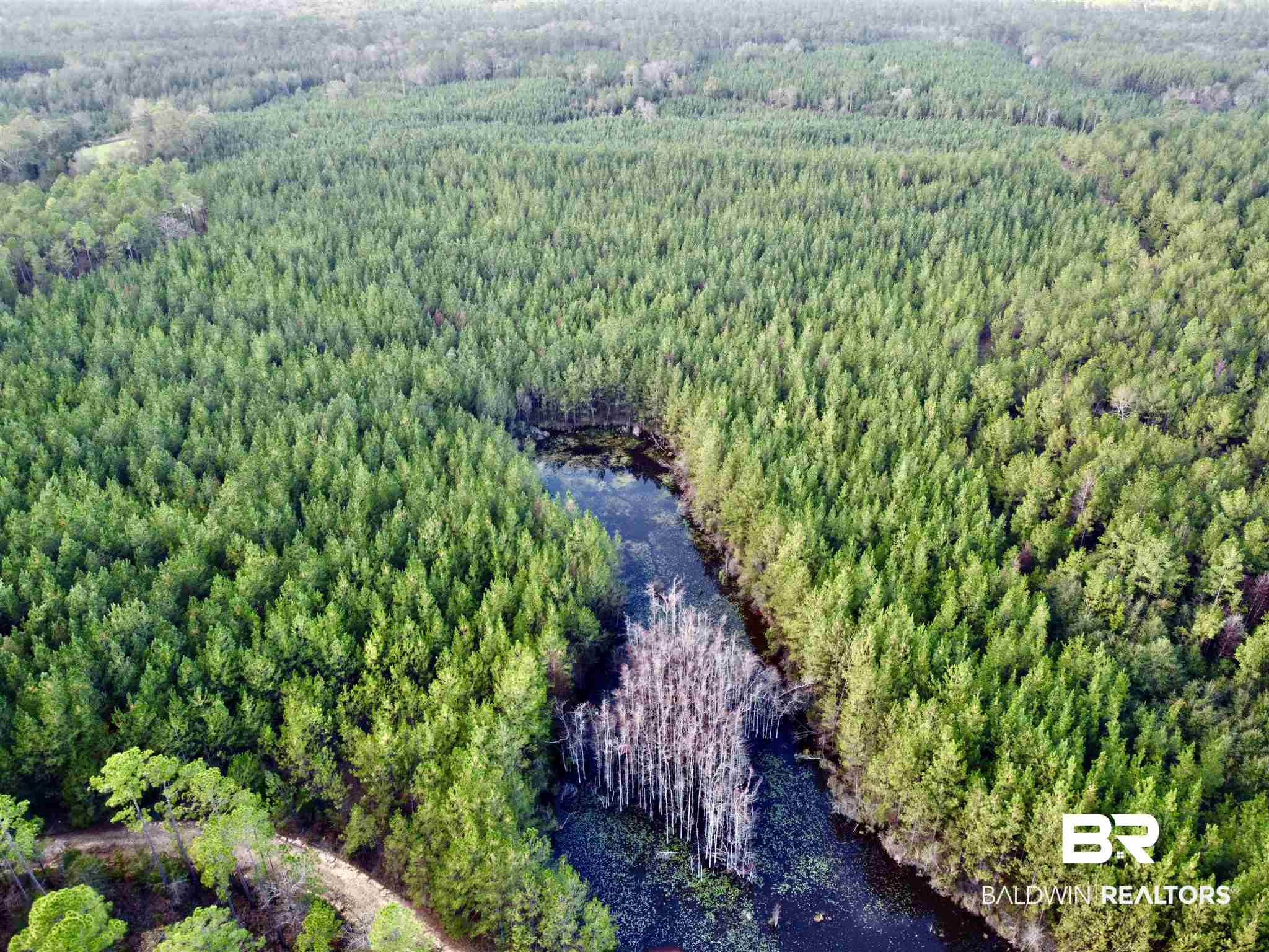 0 Whitetail Run Chatom, AL 36518 - Photo 10 of 29
