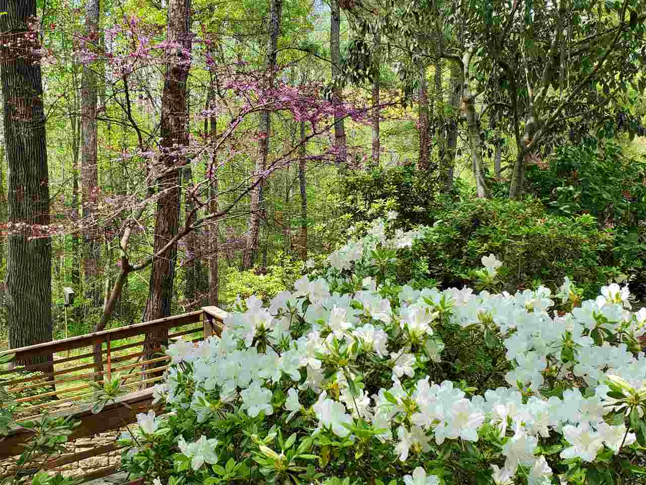 117 Jersey Ridge Road Cary, NC 27518 - Photo 12 of 20 Photo 12
