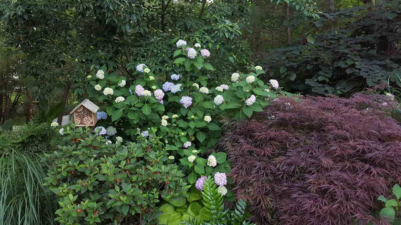 117 Jersey Ridge Road Cary, NC 27518 - Photo 13 of 20 Photo 13