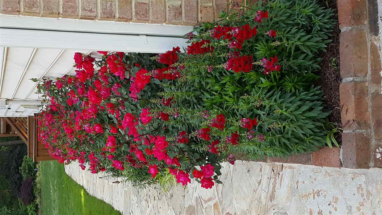 117 Jersey Ridge Road Cary, NC 27518 - Photo 20 of 20 Photo 20