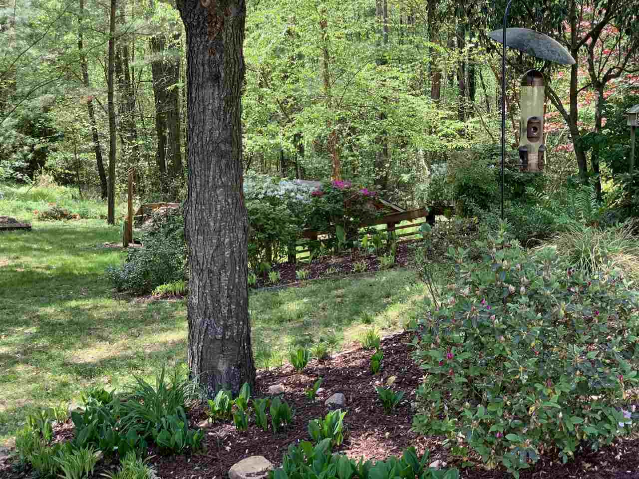 117 Jersey Ridge Road Cary, NC 27518 - Photo 10 of 20 Photo 10