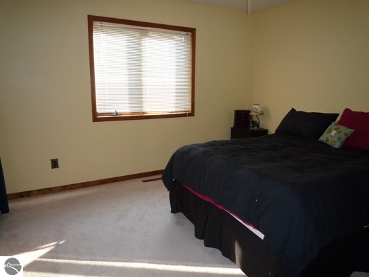 1704 South Coleman Road Shepherd, MI 48883 - Photo 32 of 39 1785828-31.JPG