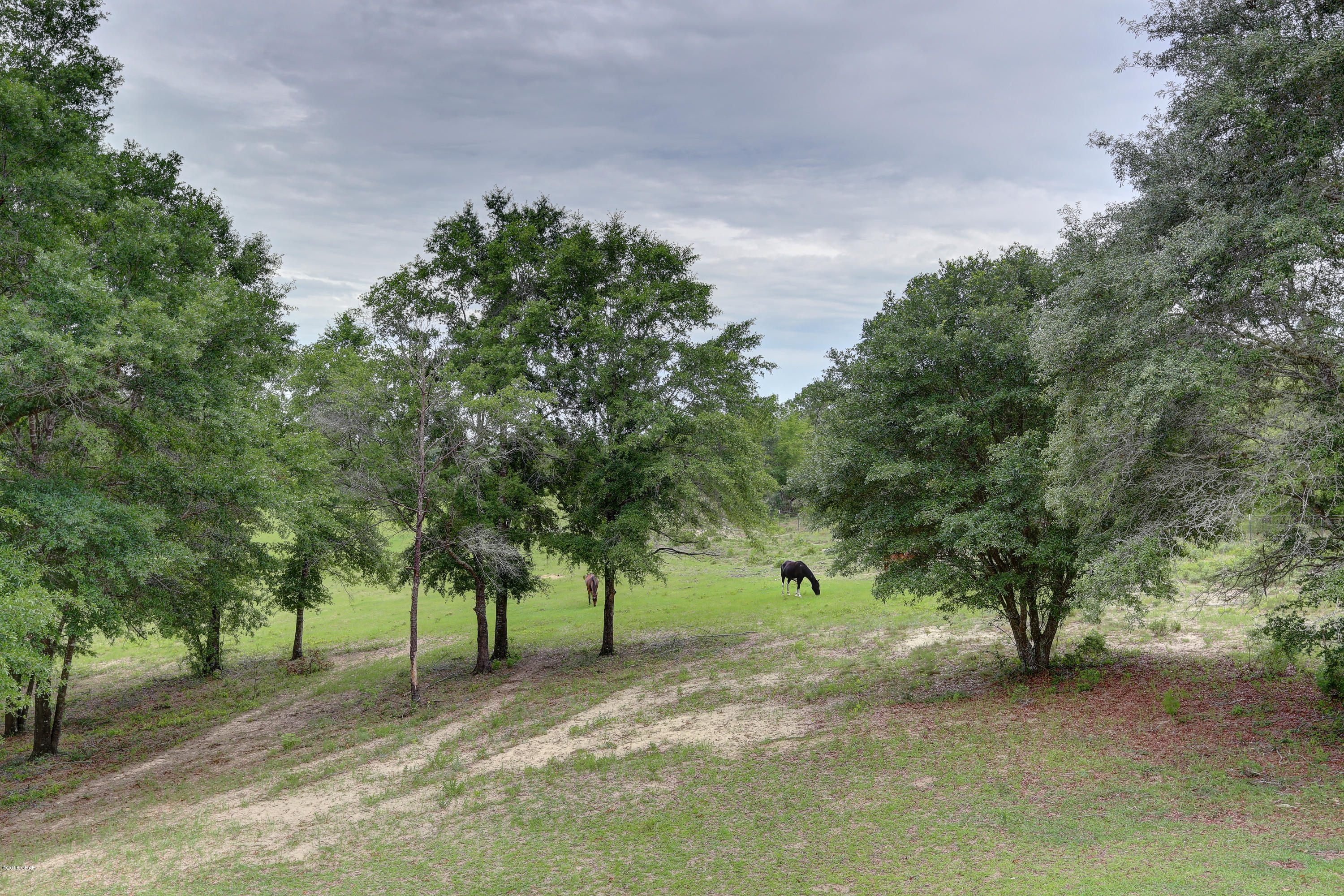 3426 Twin Pond Road Vernon, FL 32462 - Photo 5 of 22 Gallery Image 5