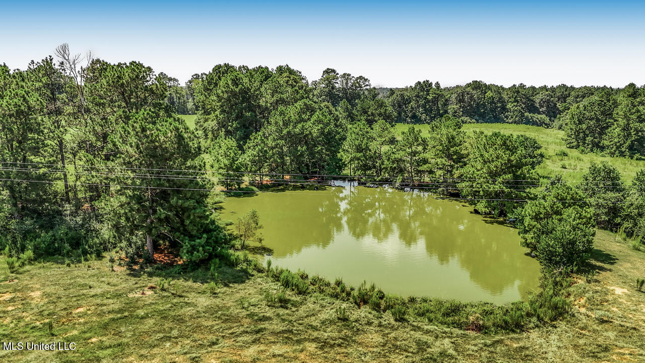 3088 Terrys Creek Road Magnolia, MS 39652 - Photo 54 of 64 DJI_20250818113925_0516_D