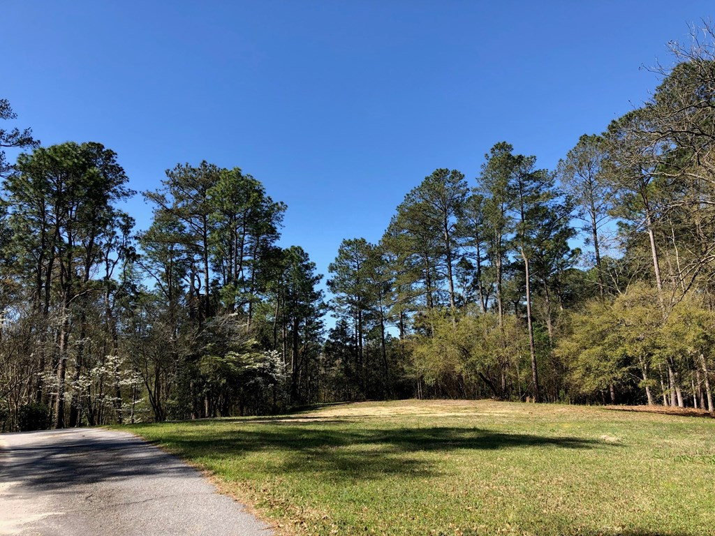 Lot G Lot G Ridgecrest Avenue Southwest Aiken, SC 29801 - Photo 3 of 5