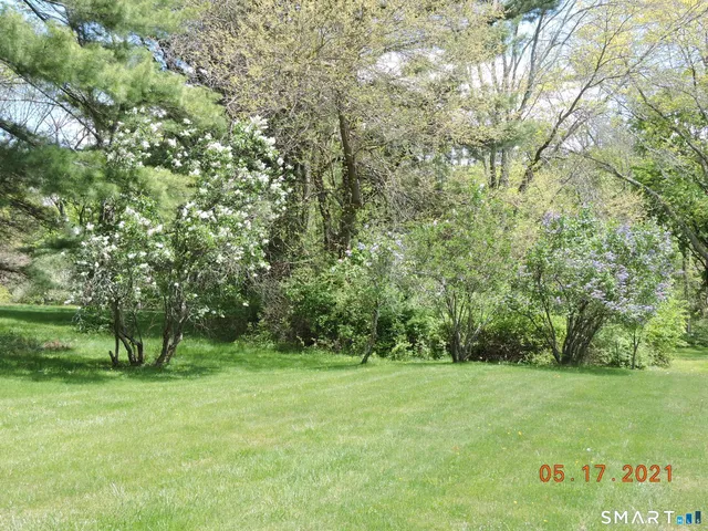 a view of outdoor space with deck and yard