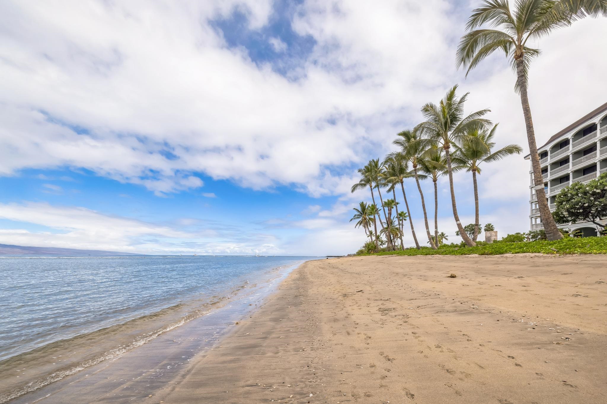 475 Front Street, Unit 235 Lahaina, HI 96761 - Photo 26 of 33