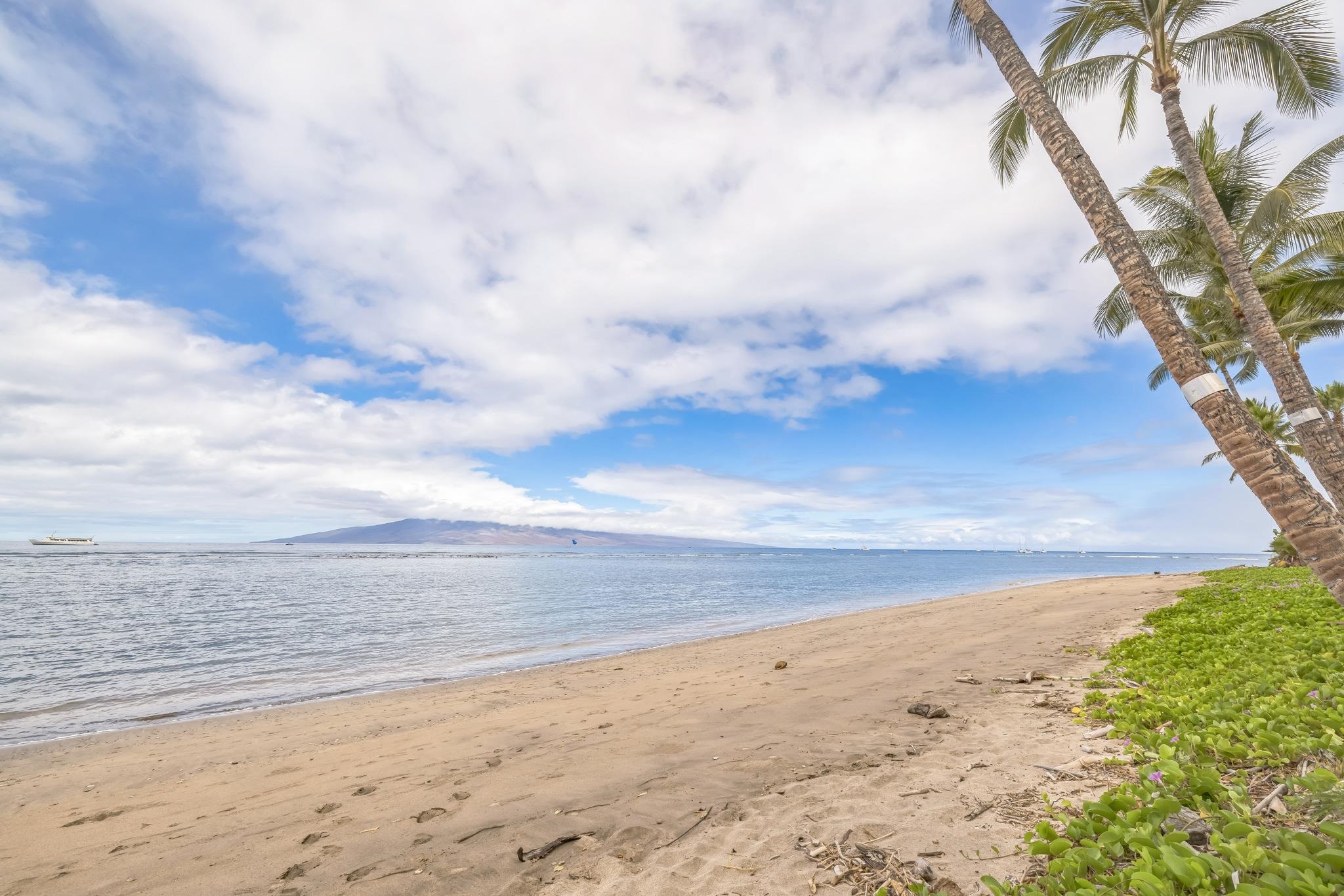 475 Front Street, Unit 235 Lahaina, HI 96761 - Photo 31 of 33