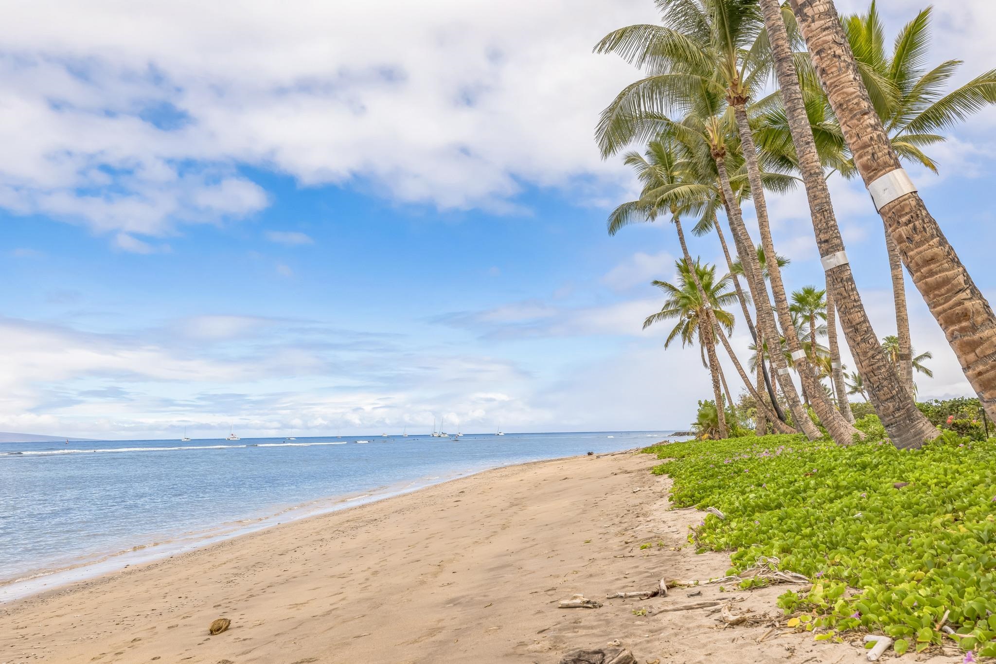 475 Front Street, Unit 235 Lahaina, HI 96761 - Photo 33 of 33