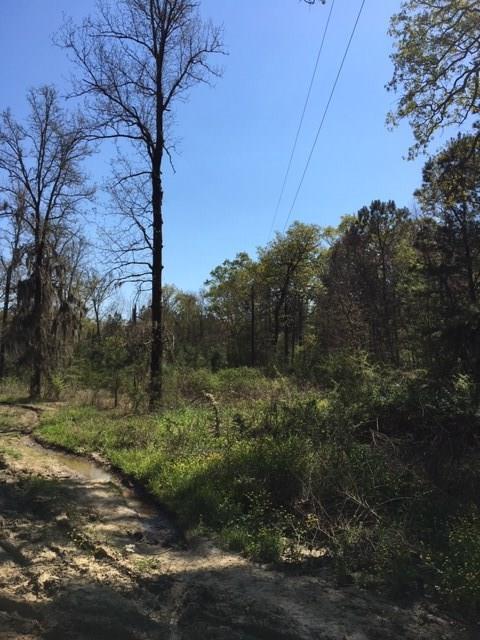 61 Nation Road Deville, LA 71328 - Photo 2 of 3