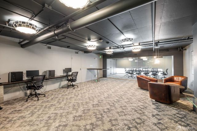 a view of a garden with plants