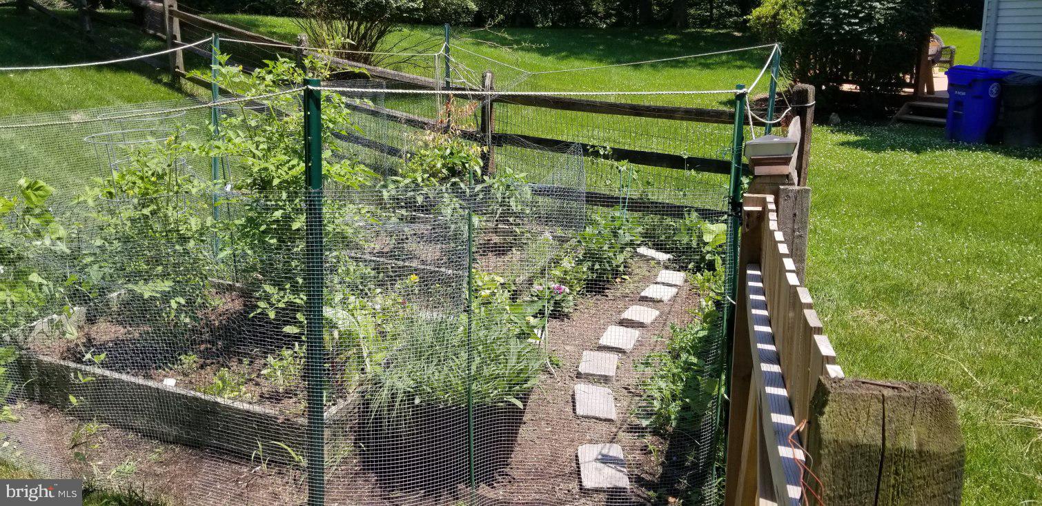 5 Middlebridge Court Silver Spring, MD 20906 - Photo 42 of 43 Beautiful vegetable garden