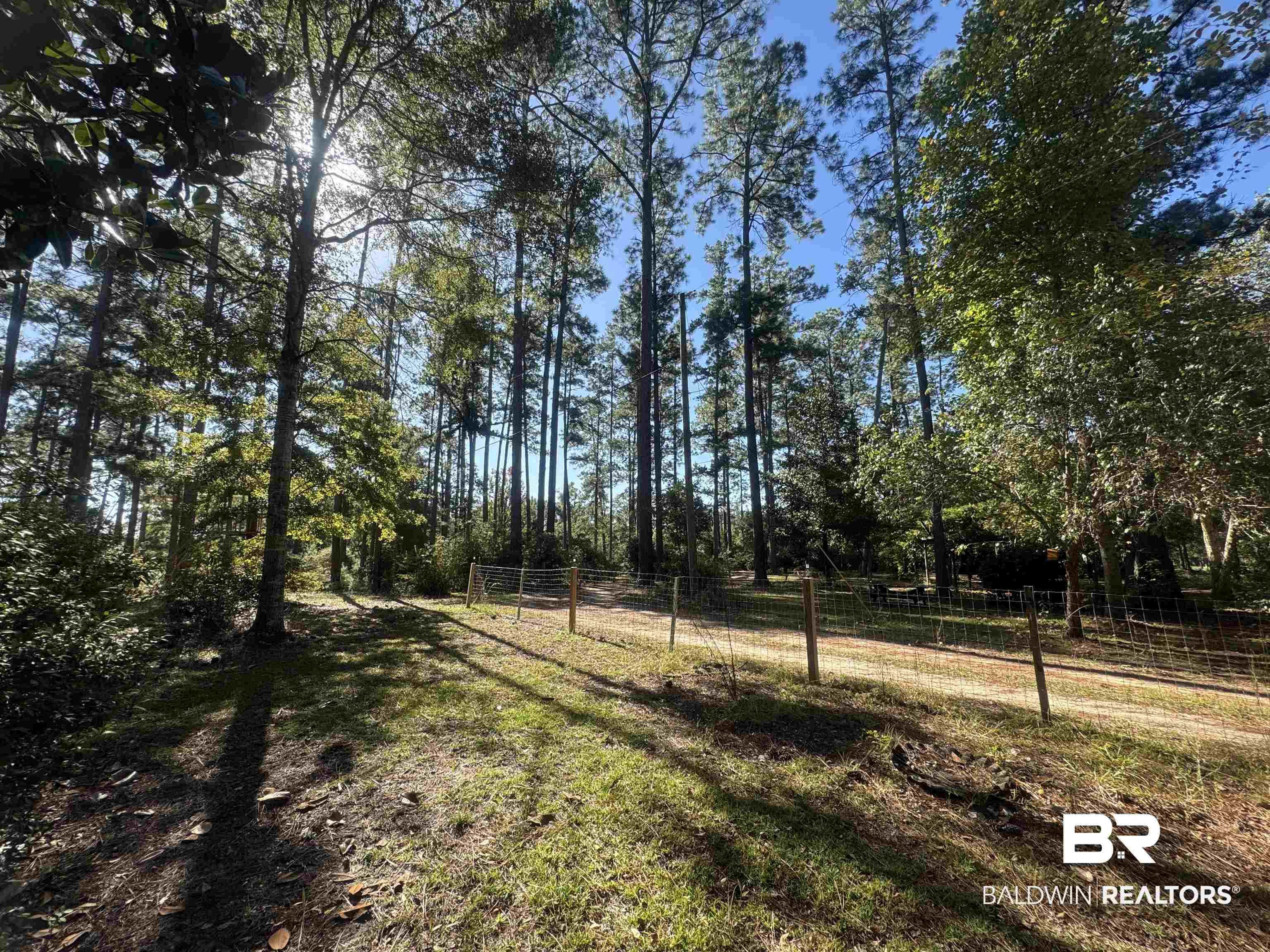 3097 Old Castleberry Road Brewton, AL 36426 - Photo 31 of 49 View of yard