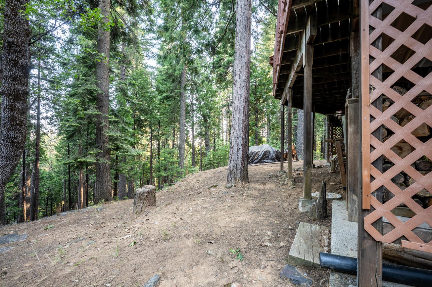 600 Wikami Way Dorrington, CA 95223 - Photo 31 of 43