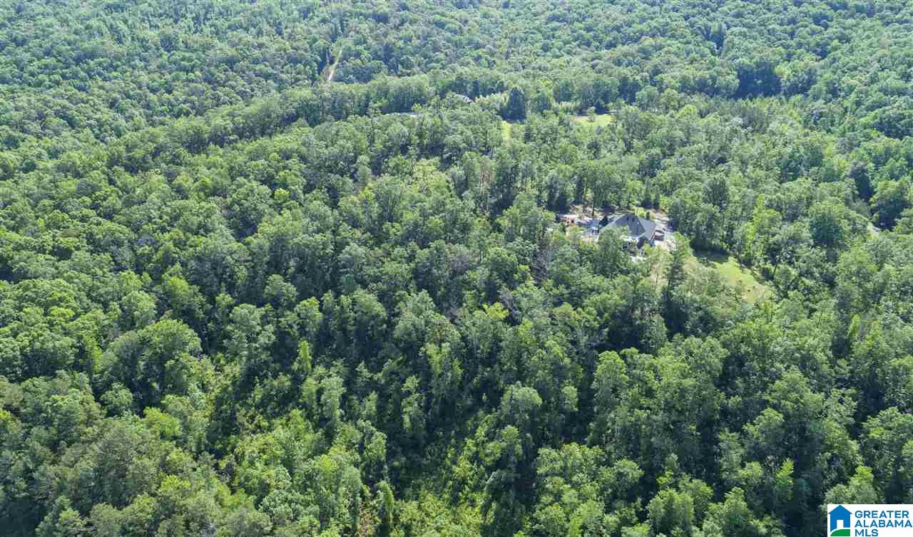 167 Rolling Hills Drive Springville, AL 35146 - Photo 43 of 48