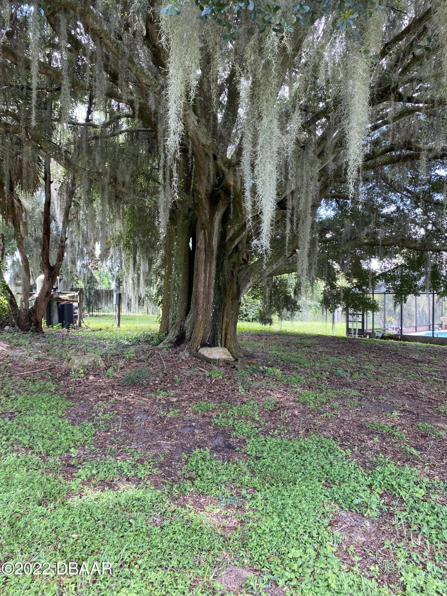 12116 Lane Park Road Tavares, FL 32778 - Photo 10 of 58 CFCE02AF-26DC-4E68-8557-1D3629A8E808